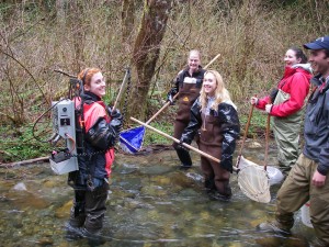 FISH 450 students sampling fishes in Rock Creek, Washington 